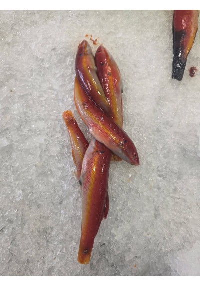 Pescado doncellas